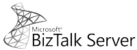 Microsoft BizTalk logo